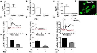 Leukotriene D4 Upregulates Oxidized Low-Density Lipoprotein Receptor 1 and CD36 to Enhance Oxidized LDL Uptake and Phagocytosis in Macrophages Through Cysteinyl Leukotriene Receptor 1